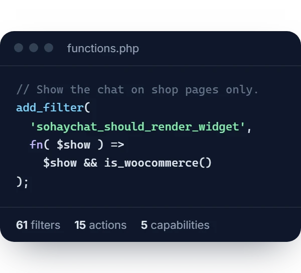 A functions.php snippet adding the sohaychat_should_render_widget filter to show the chat on shop pages only; below it, 61 filters, 15 actions, 5 capabilities.